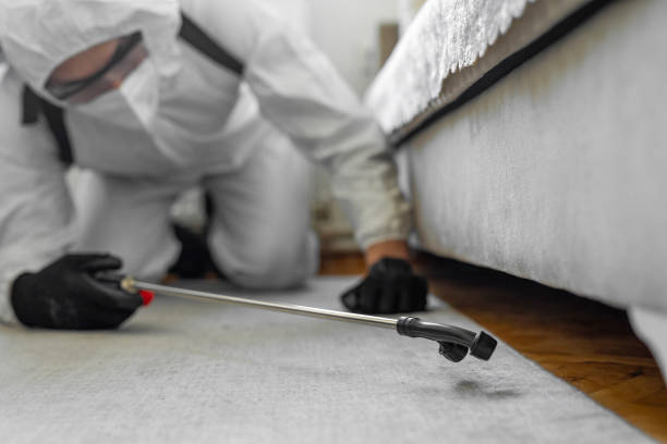 Professional Pest Control technician working in Alameda County County, CA